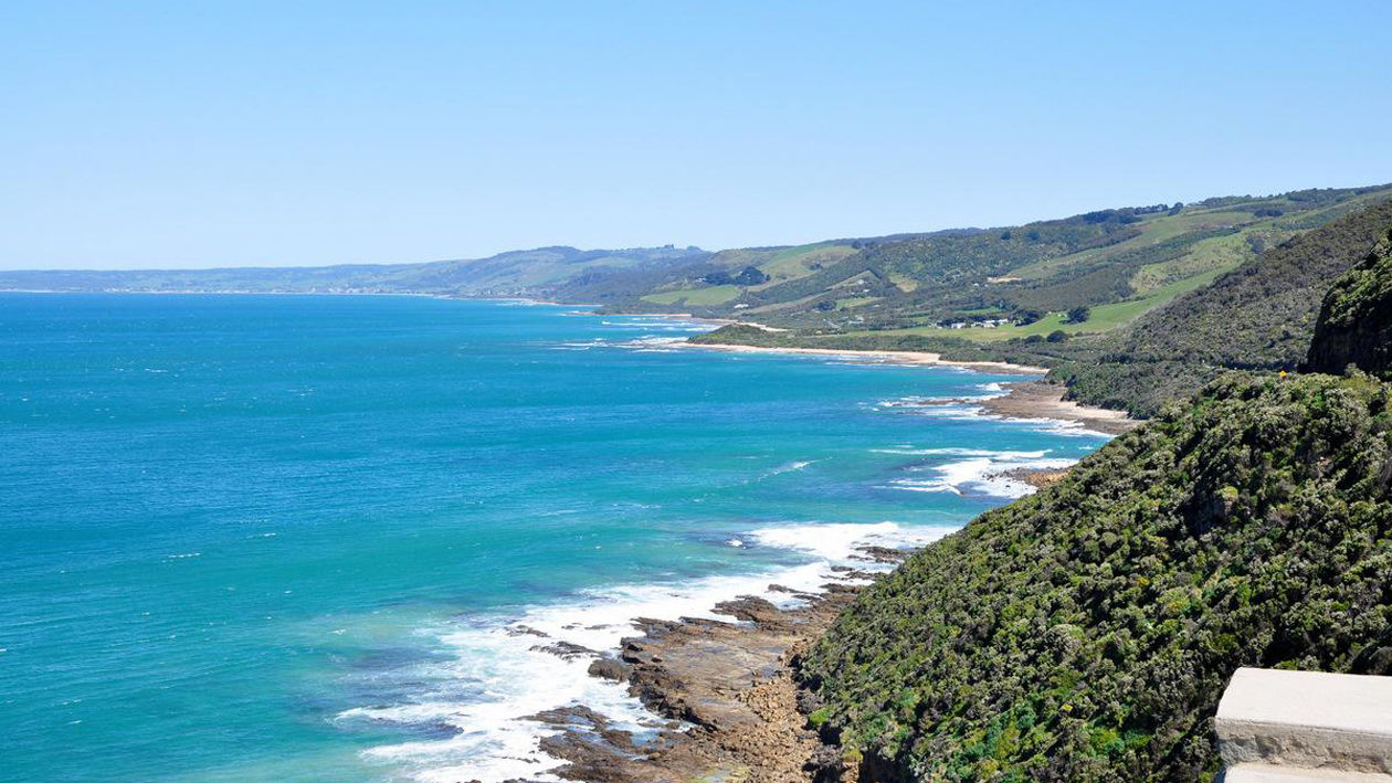 一分钟带你游遍菲利普岛