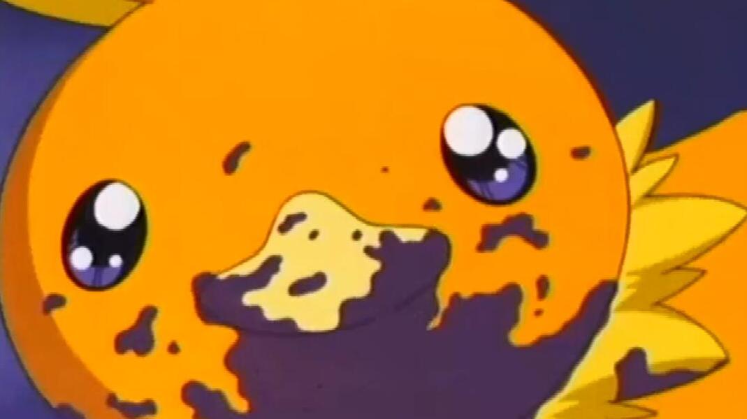 神奇宝贝,火稚鸡吃了一种东西后,嘴巴全黑了