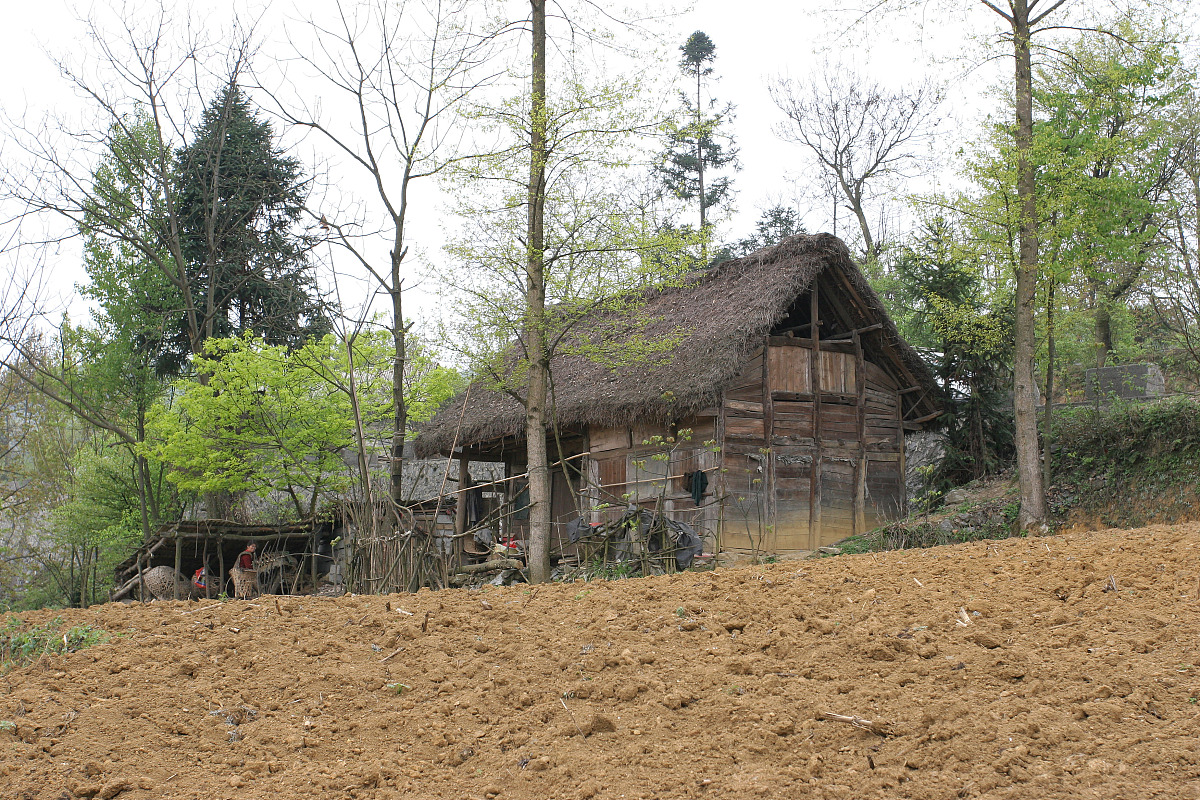 梦见已故父亲和妻子住新草房：思念、家庭和新开始