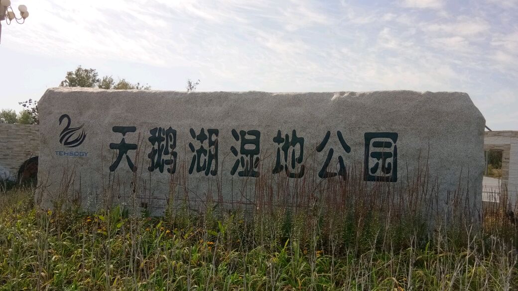 吉林白城天鹅湖湿地公园,风景不错,兼具调洪功能
