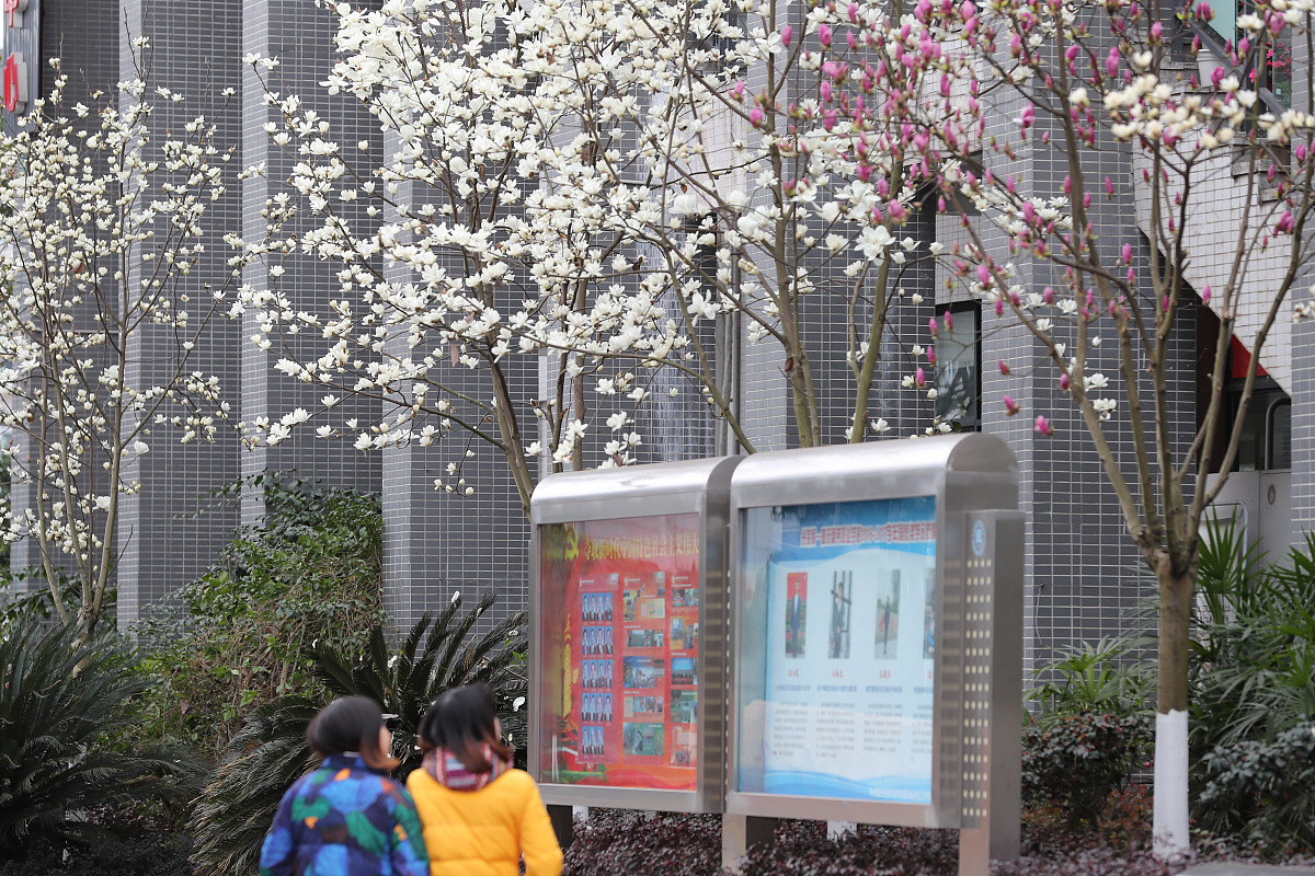 重庆工商职业学院单招单招2023年