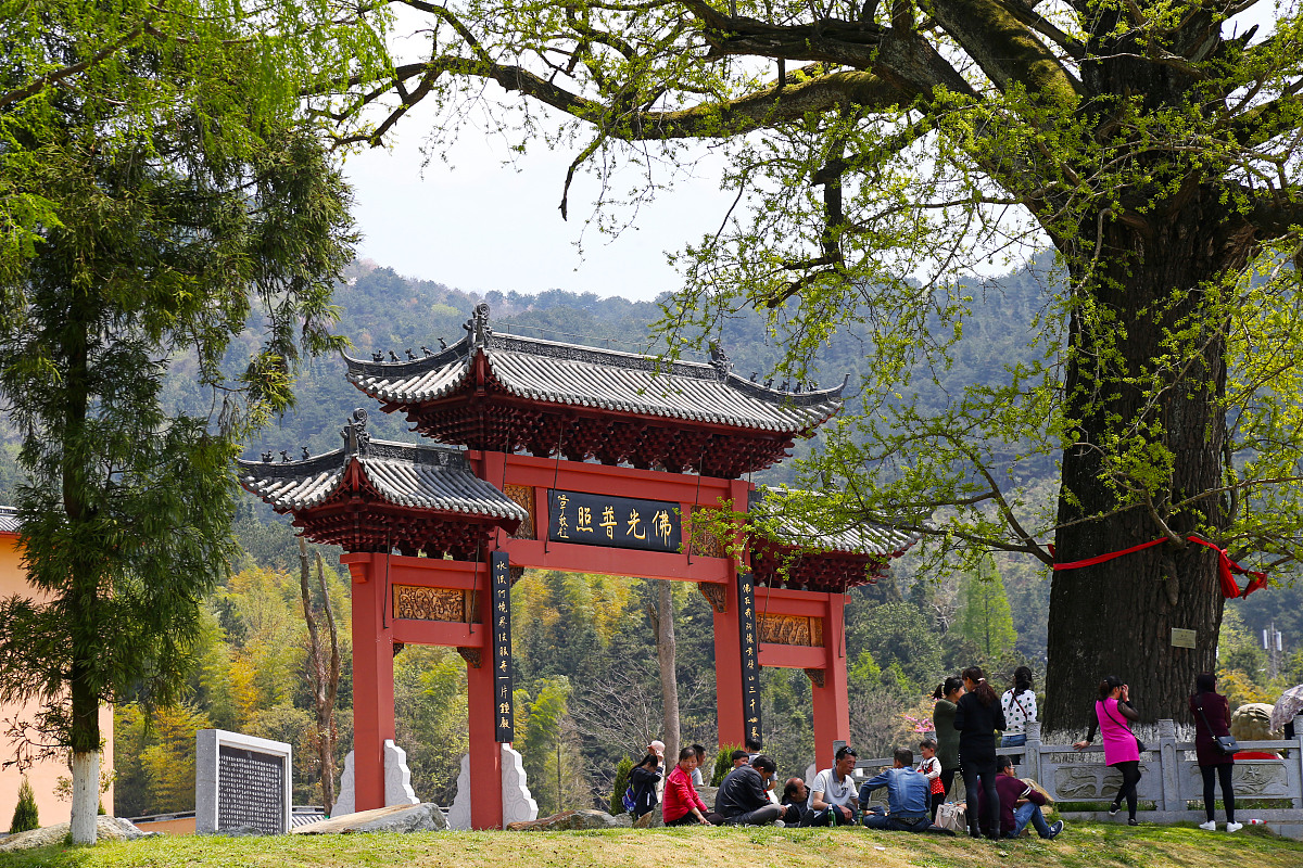 山西林业职业技术学院森林生态旅游专业涉及哪些课程-怎么样