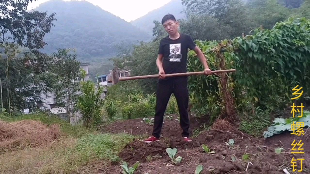 螺丝哥开荒种菜,和媳妇讨论种什么菜,什么事还把螺丝哥逗乐了