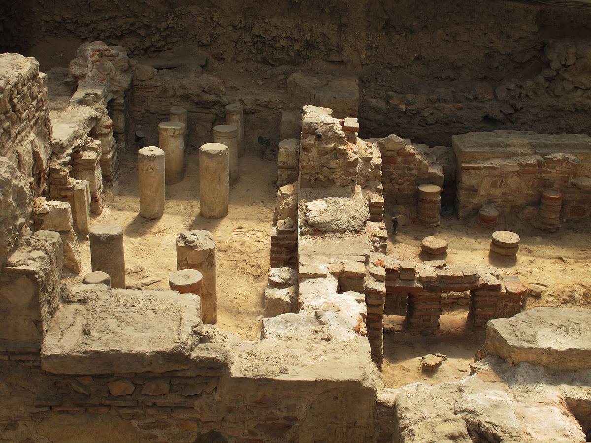 浙江艺术职业学院公共文化服务与管理专业介绍 - 未来发展方向