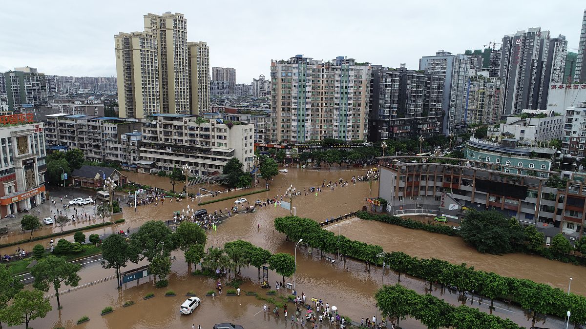 关于乐山地基转让详细过程字