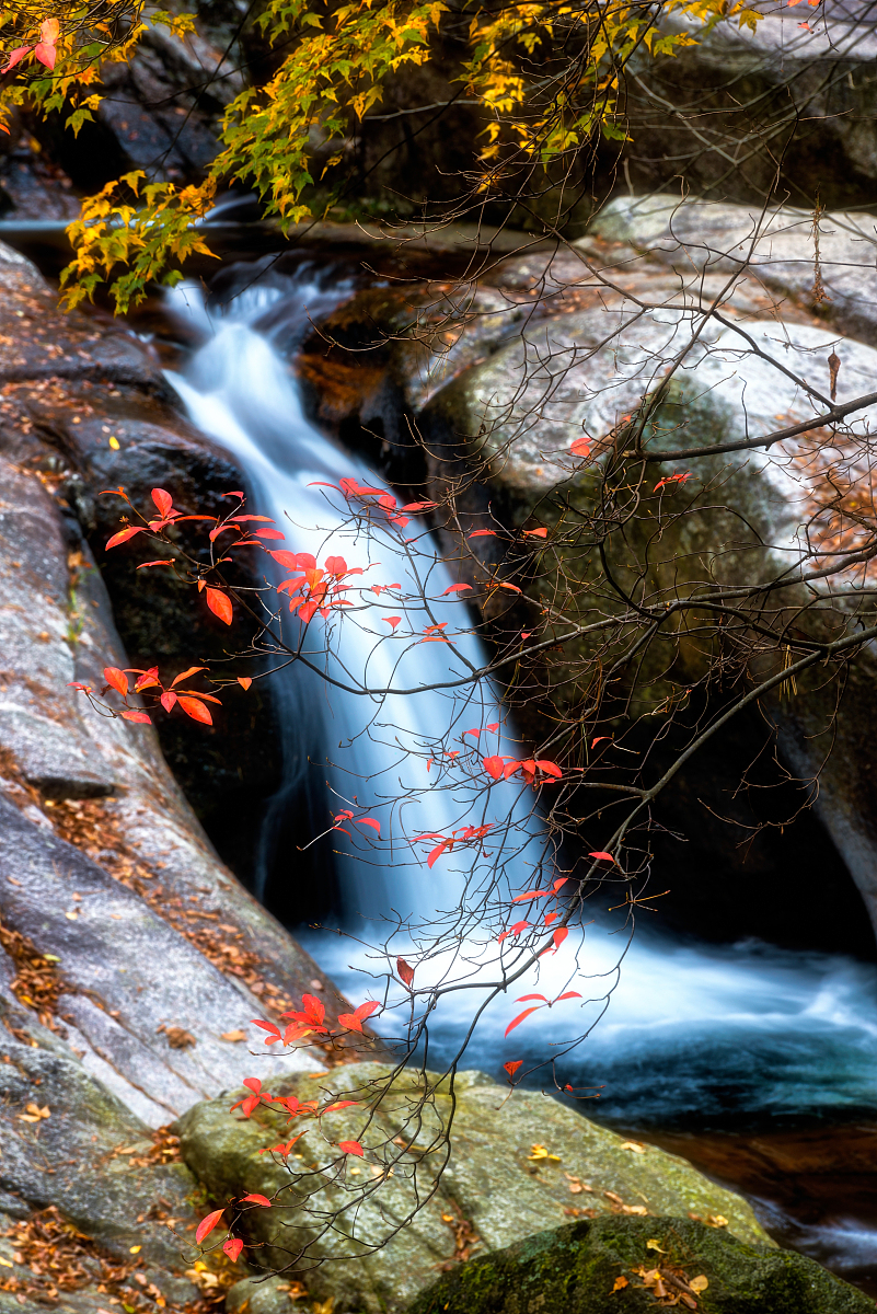 巴中中专学校学费多少？费用、优惠政策及就业情况详解