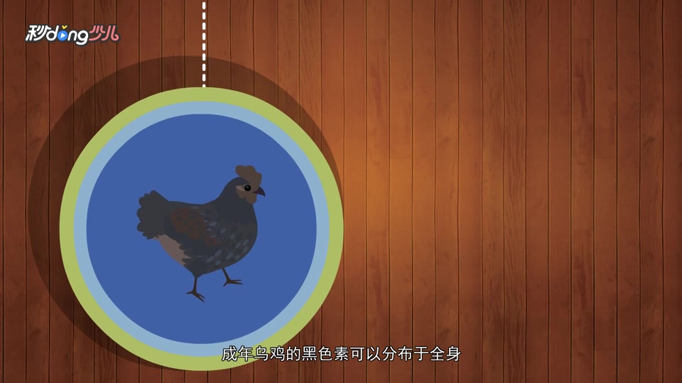 乌骨鸡的骨头为什么是黑色的?