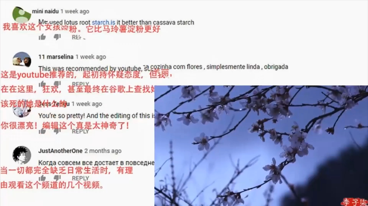 外国人围观李子柒用桃花做点心,网友:这样也可以,厉害!