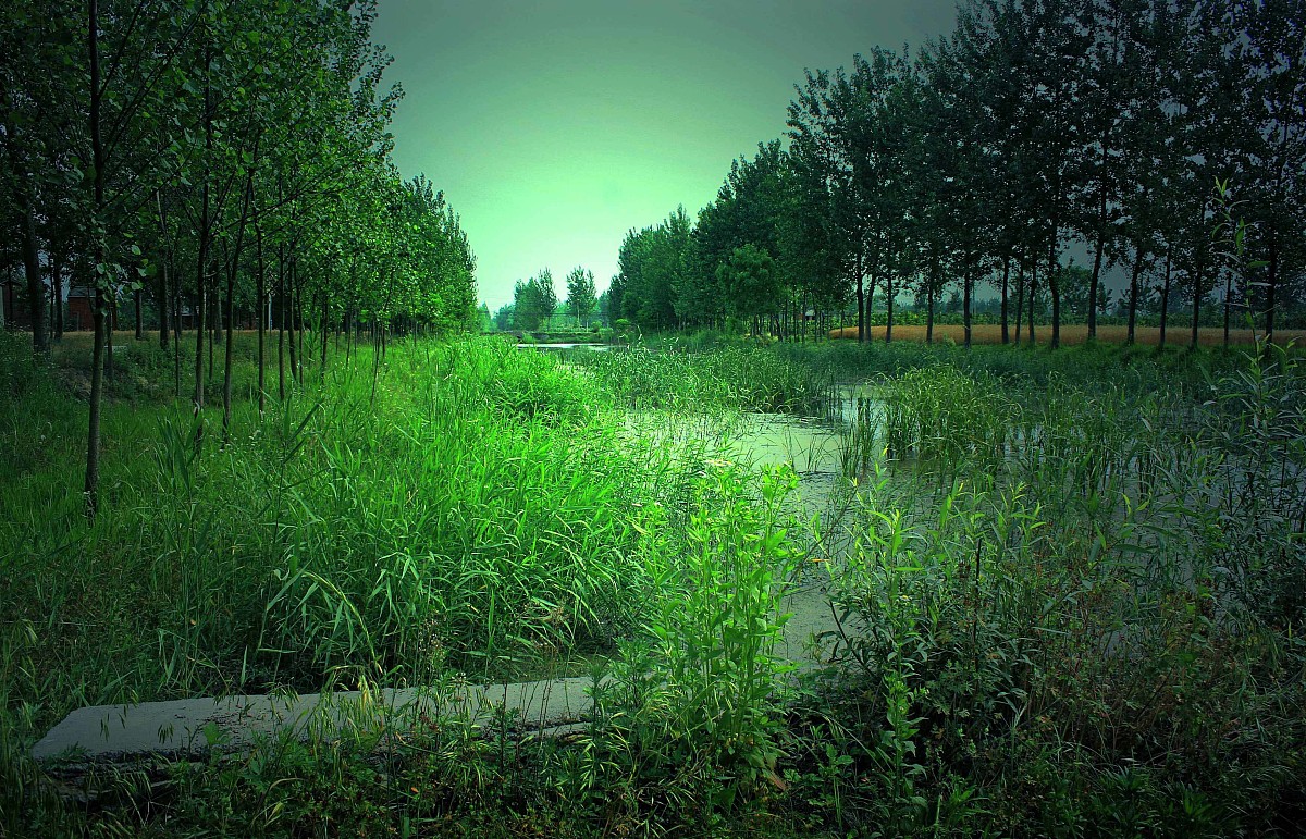 春日美景：运用通感、比喻、拟人修辞描绘春天