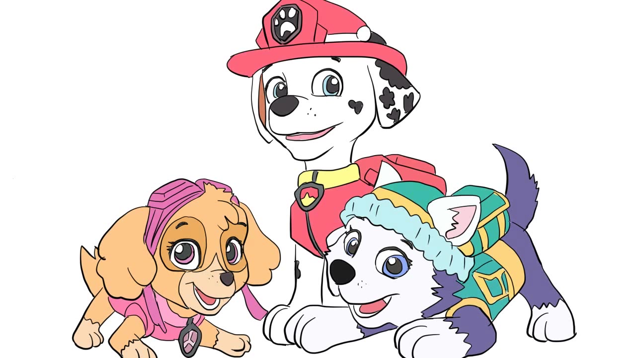 汪汪队立大功之可爱的毛毛 天天以及珠珠儿童卡通简笔画