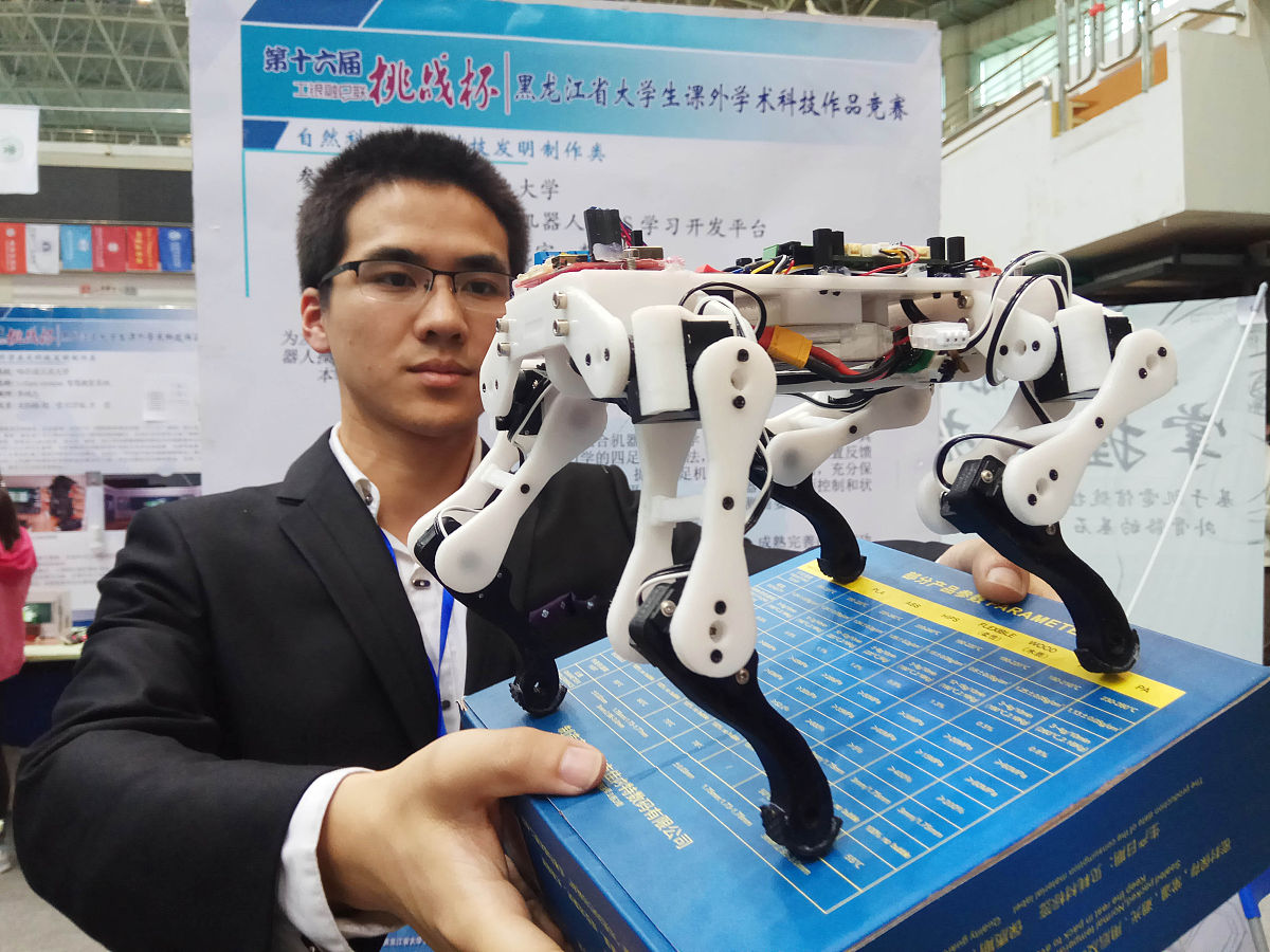 挑战杯申请书 回答加拓展