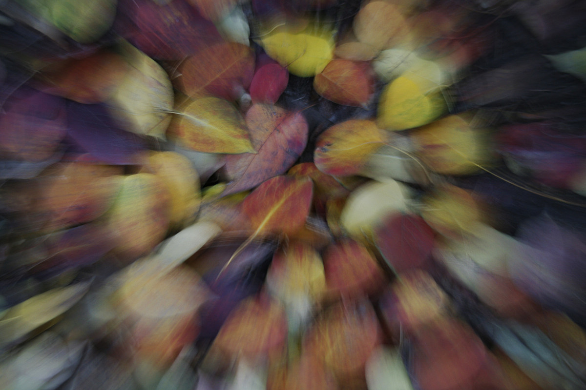 1200字关于摄影与心灵：如何通过摄影表达内心情感