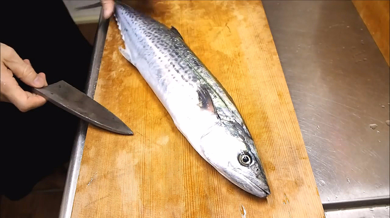 新鲜鲅鱼的剔肉处理,一大片鱼肉用来烤太爽了