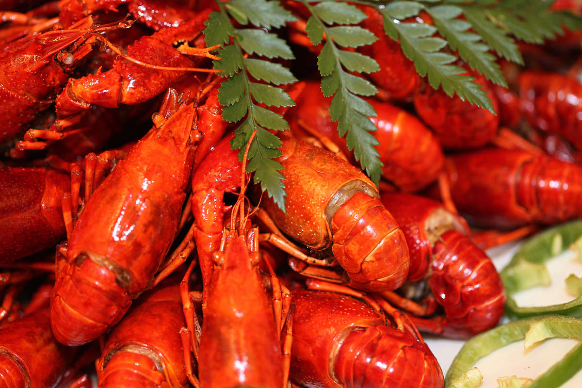 西安桃李烹饪旅游专修学院：巧用花椒，提升菜肴美味