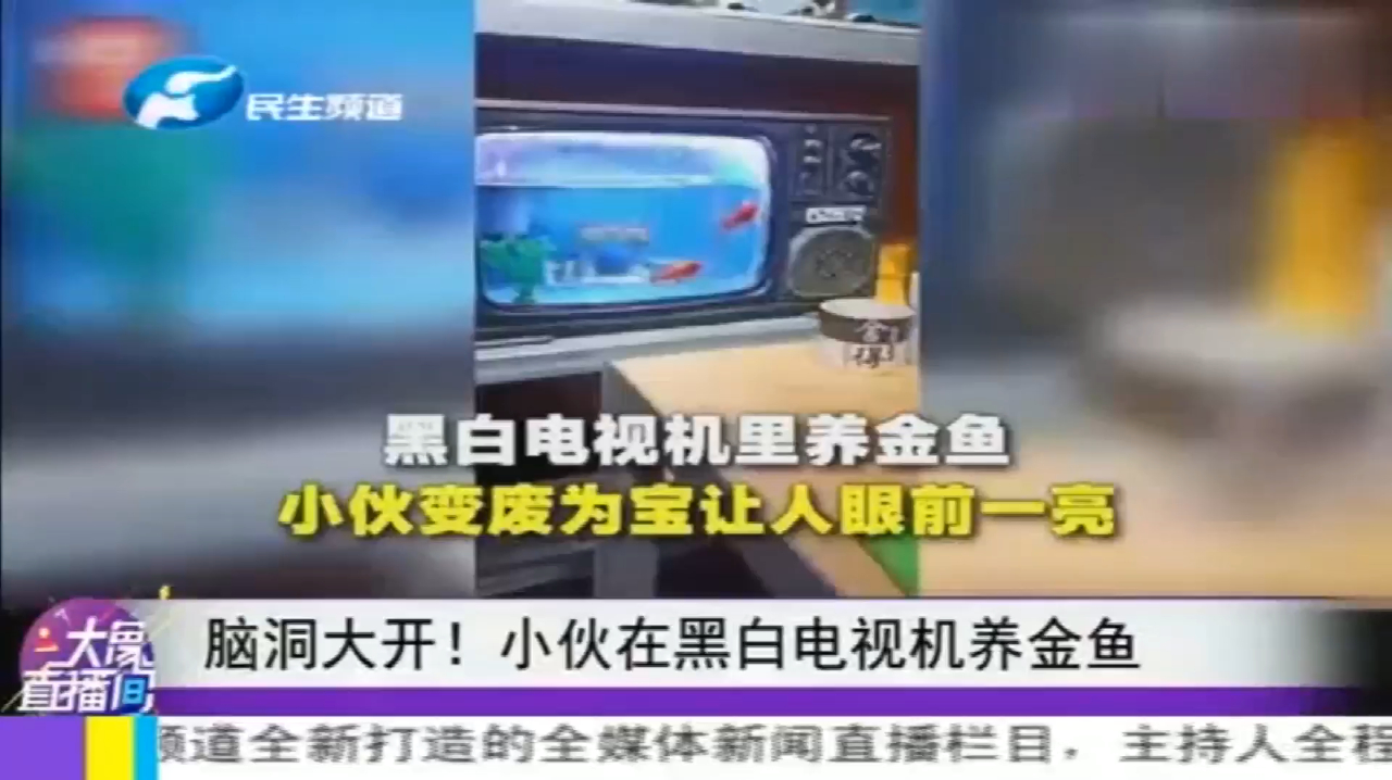 脑洞真大!小伙在黑白电视机养金鱼,这场景只在动画片里面见过