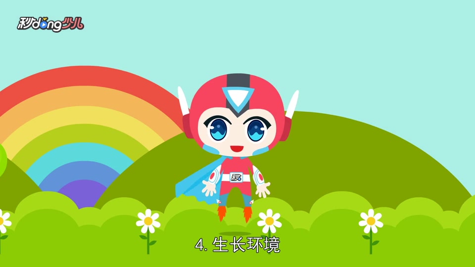 「秒懂少儿」独行菜与荠菜的区别?