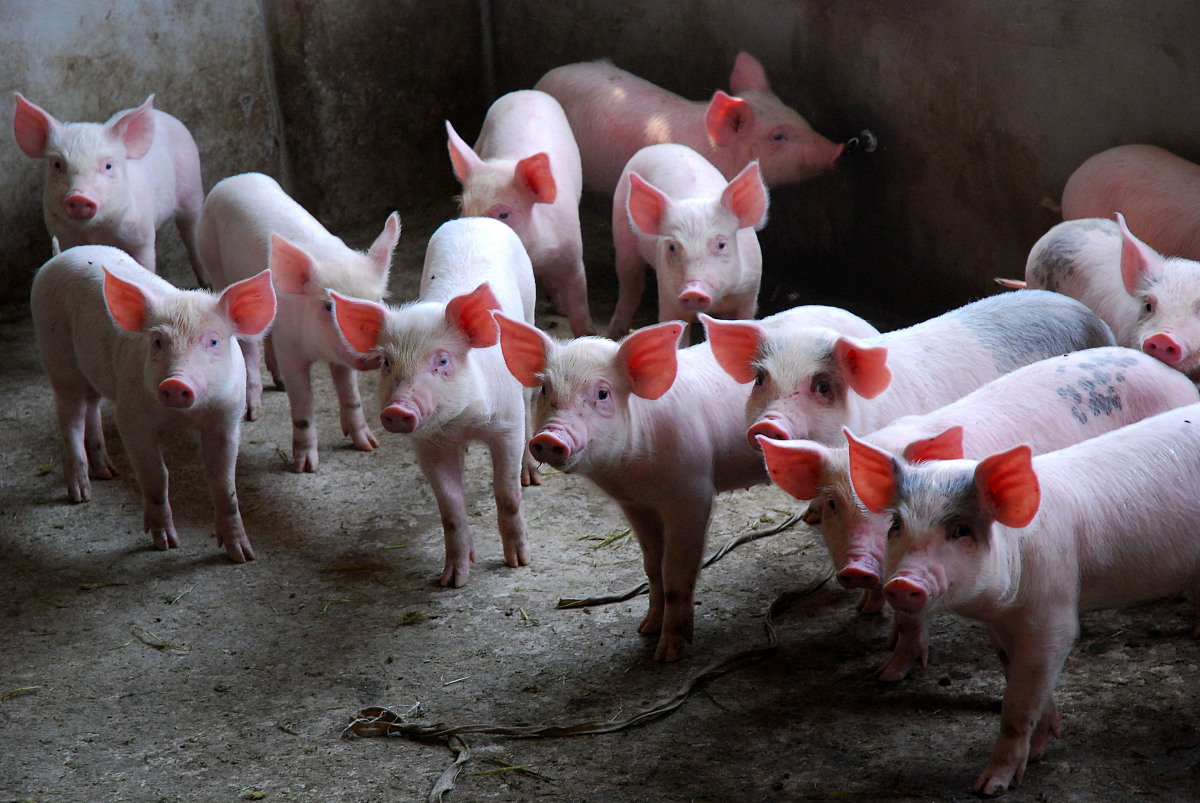 重庆市医药卫生学校招生对象及分数要求