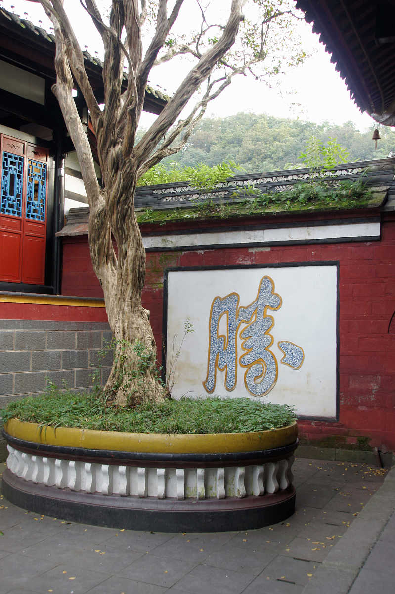 丽江市技工学校旅游管理与服务专业怎么样