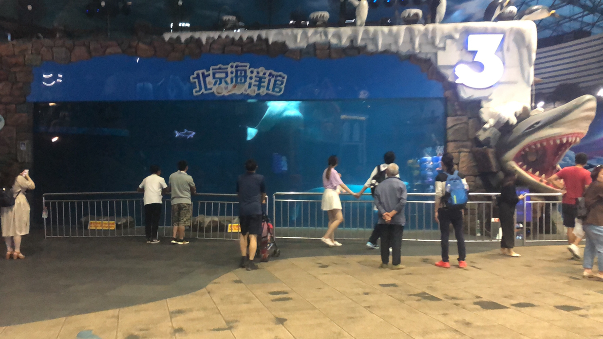 参观北京海洋馆,海底巡游展馆里面众多海底鱼类,第2集
