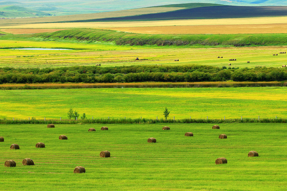 呼伦贝尔草原生物多样性：中国北方重要的生态系统