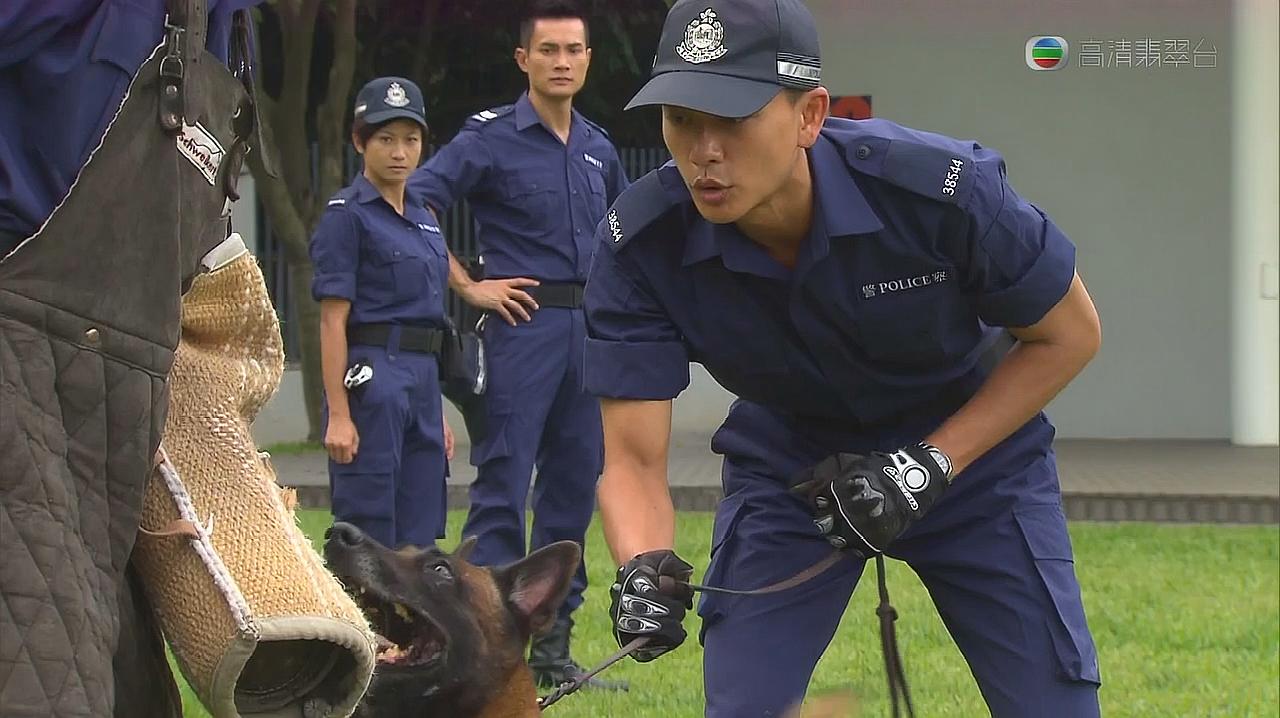 [图]警犬巴打:没想到看起来这凶猛的狗狗,竟这么听帅小伙的话