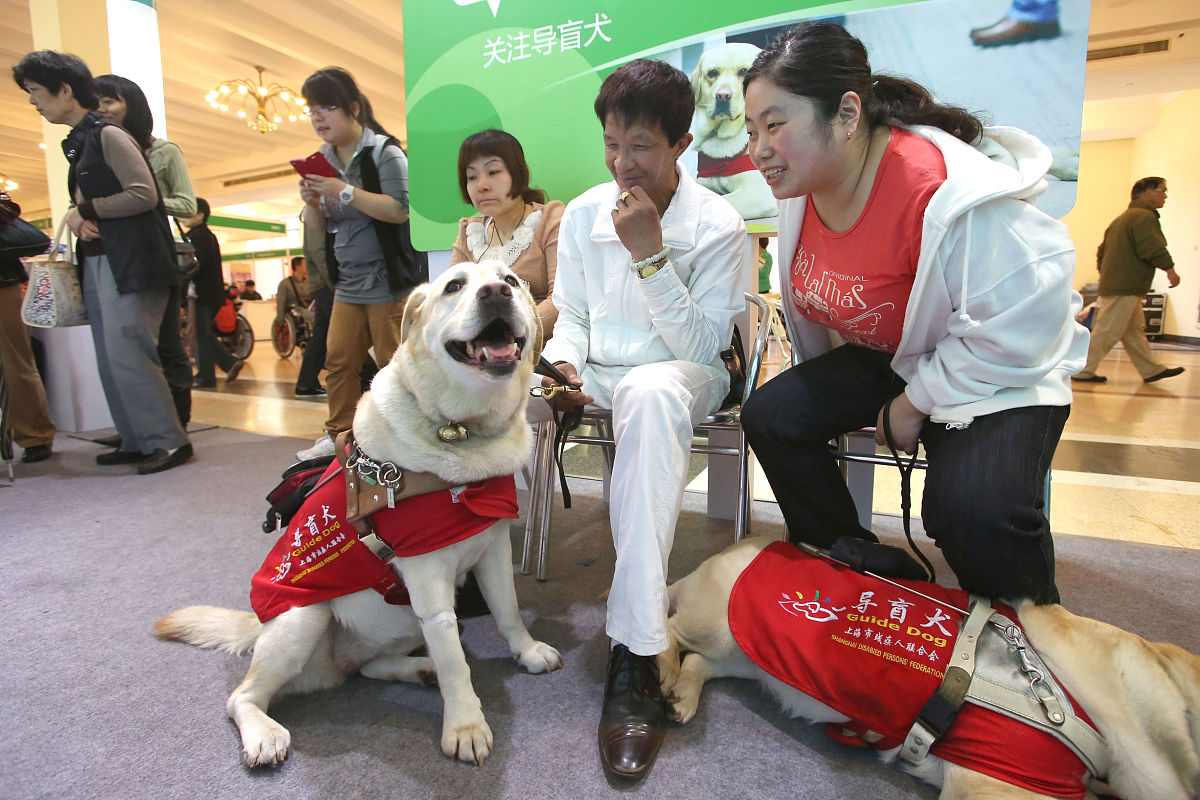 导盲犬禁止入内盲人能否入内