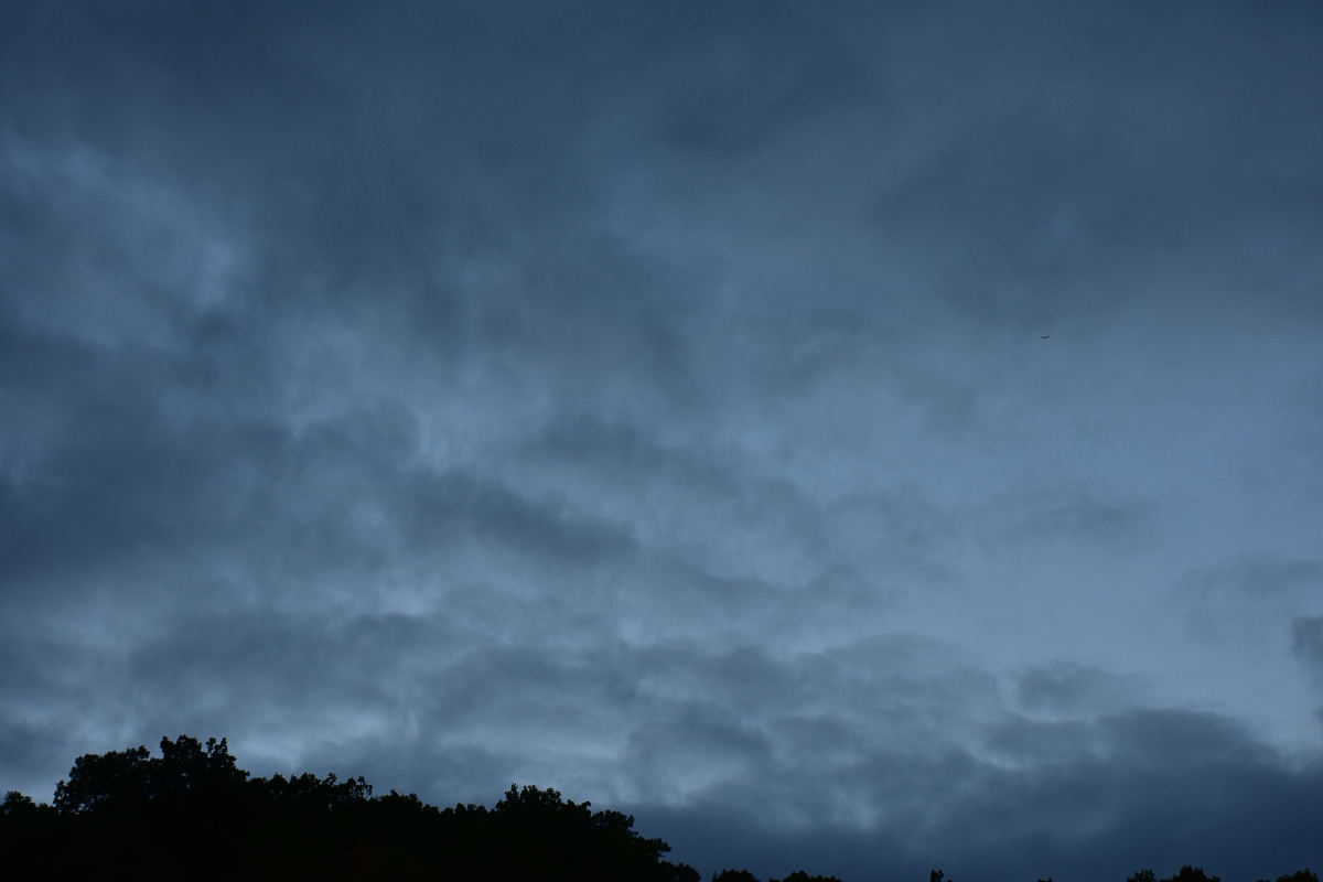 <strong>d</strong>ark blue clouds against a silhouetted treeline
