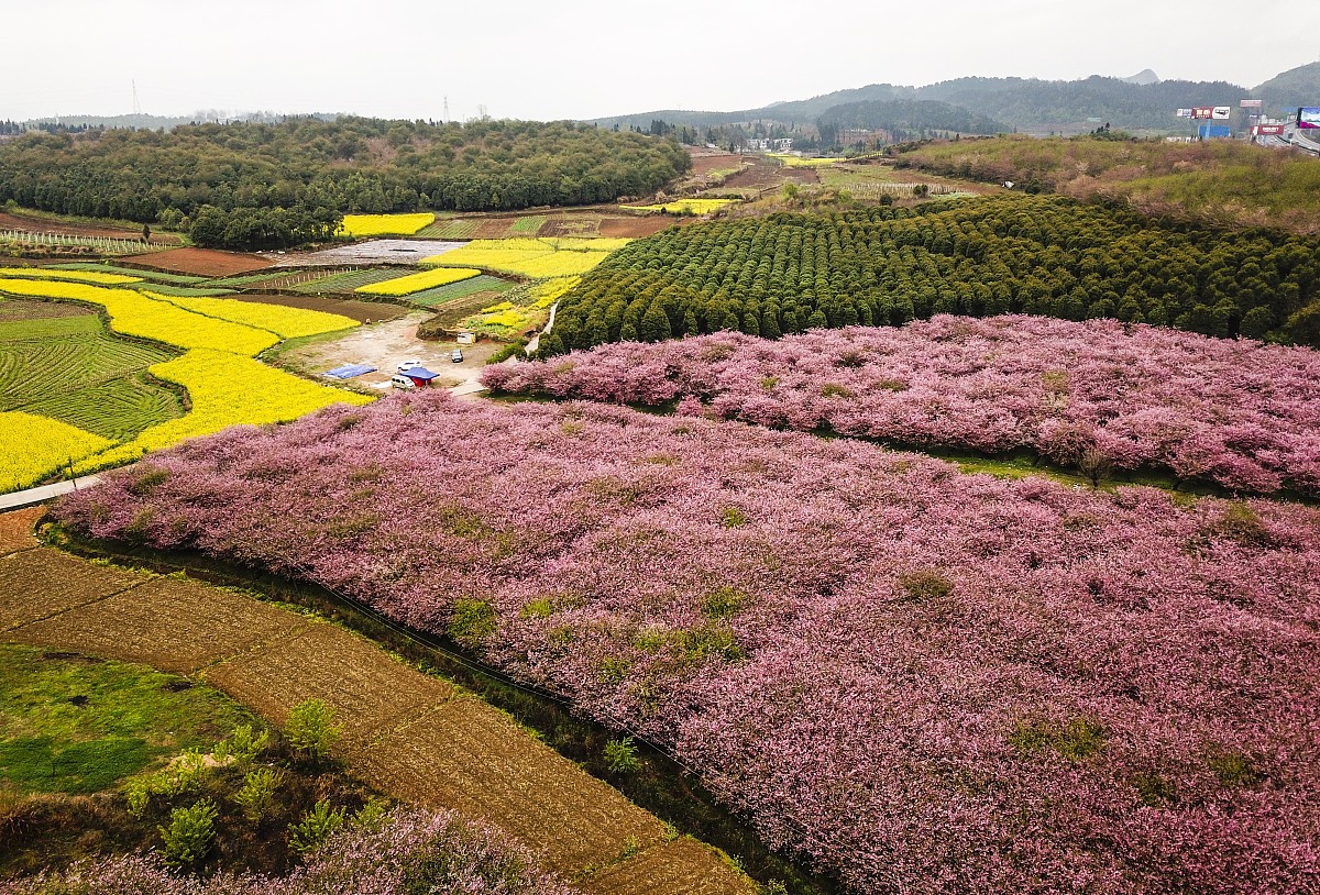 情侣网名大全：3字大气诗意，朗朗上口好记