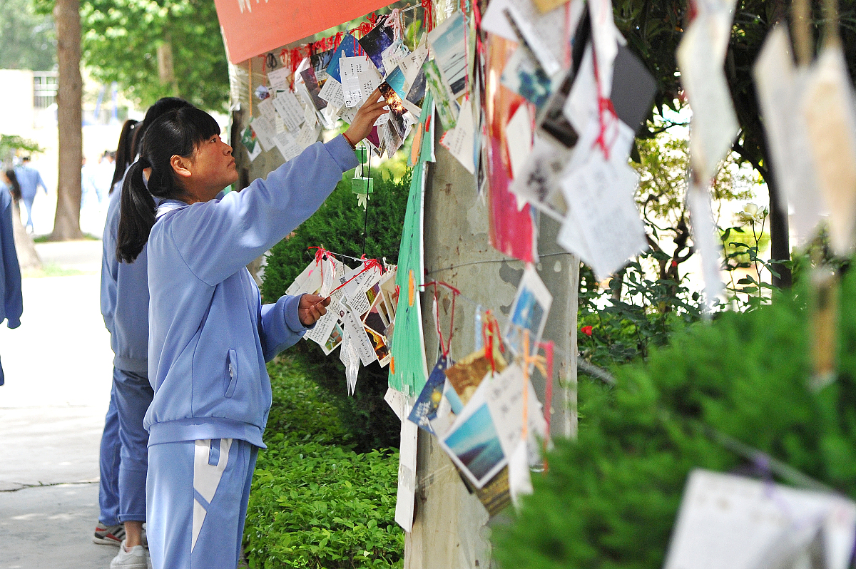 合水职业中学2023年招生电话 - 如何查询