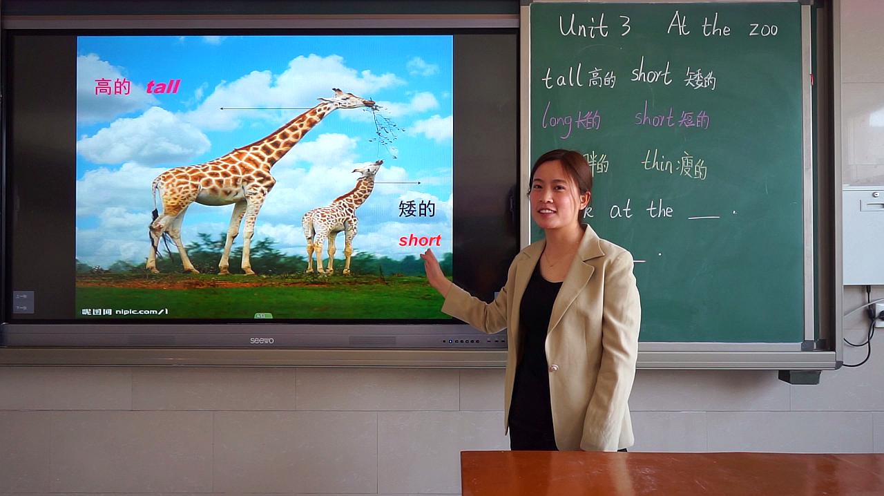 [图]网课-小学三年级英语《At the zoo》