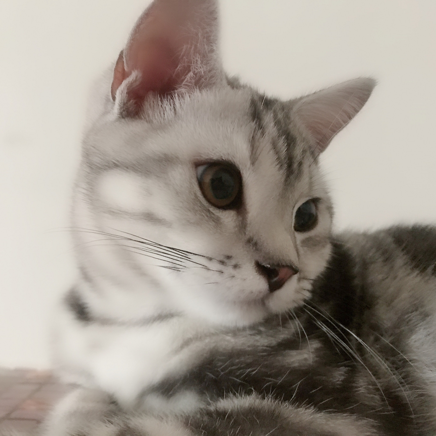 萌小***23