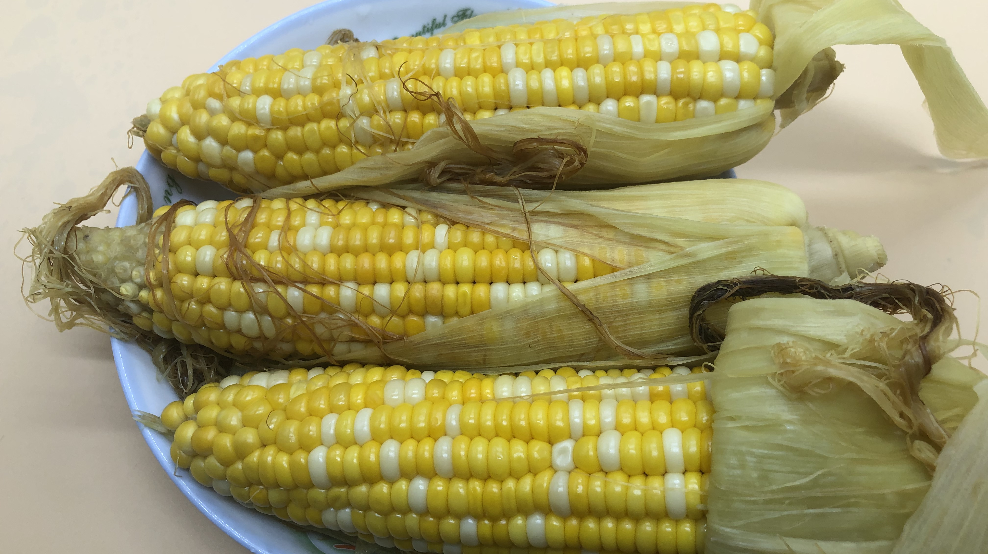 煮玉米,万万不可直接下锅煮,锅里放一把它,玉米软糯香甜又好吃