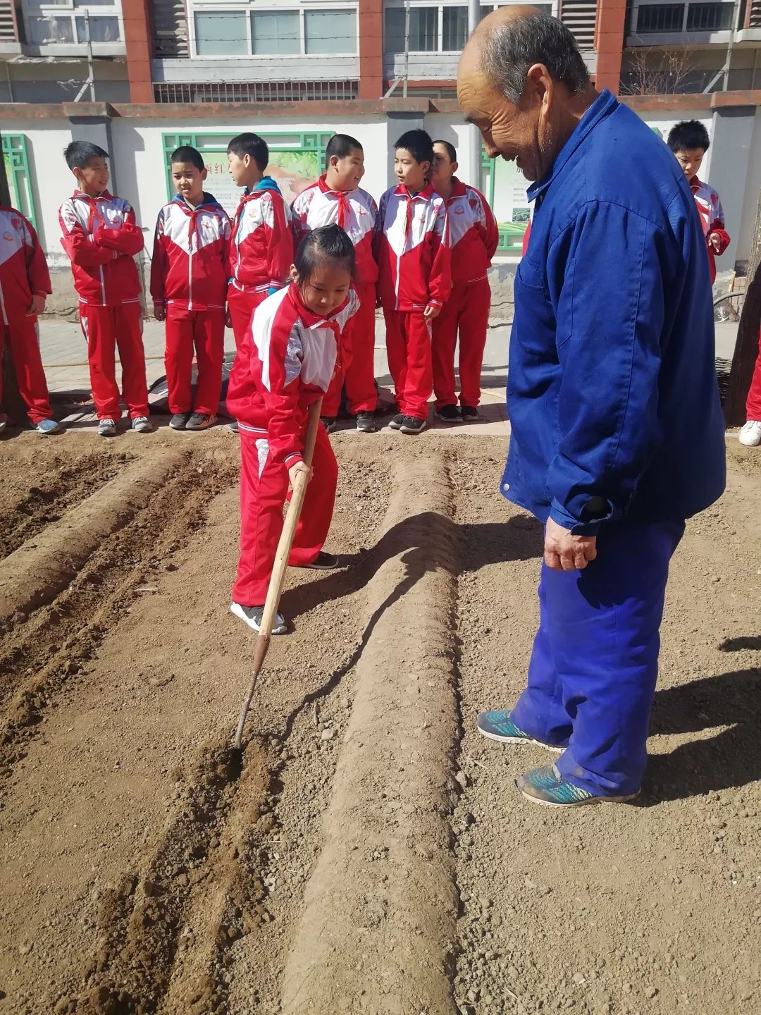 漷县镇中心小学红领巾实践基地体验农耕播种