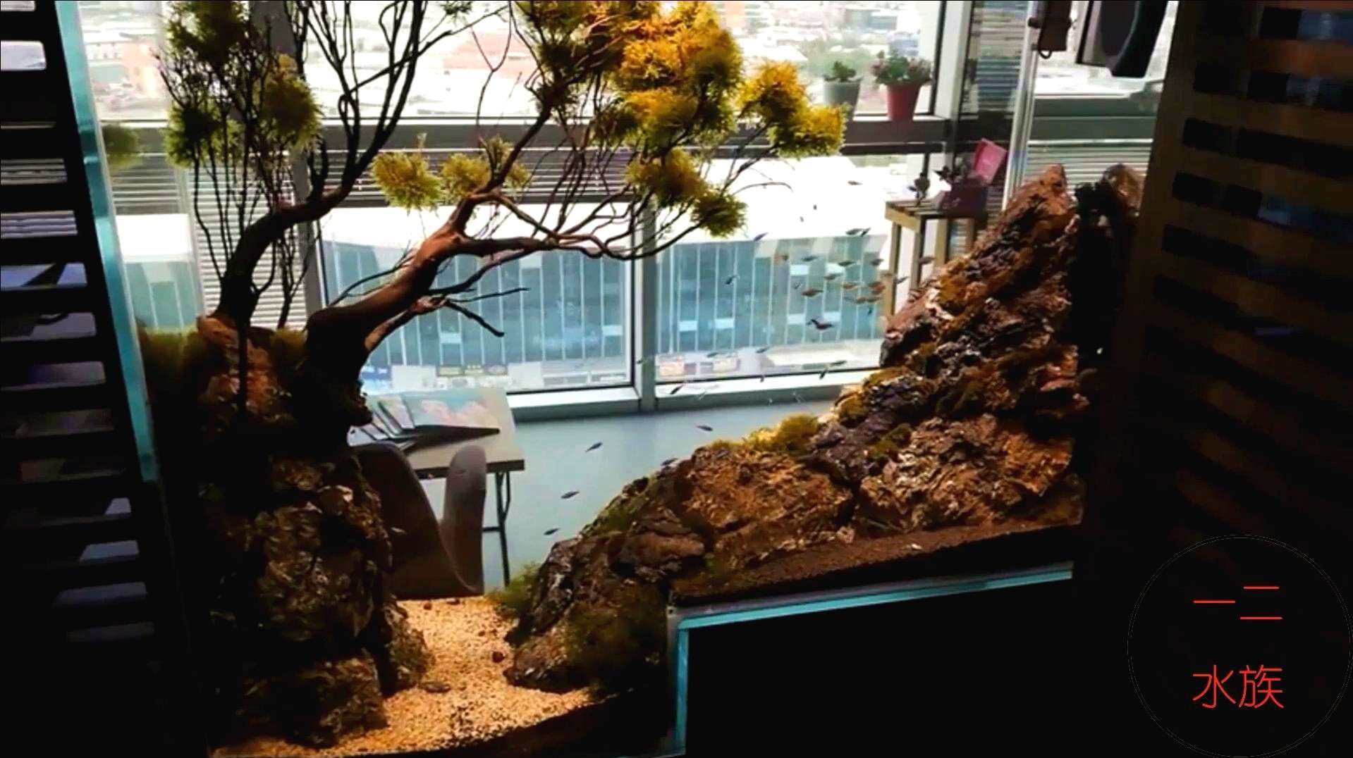 异形鱼缸,看到里面2棵小树,你知道是什么素材吗?
