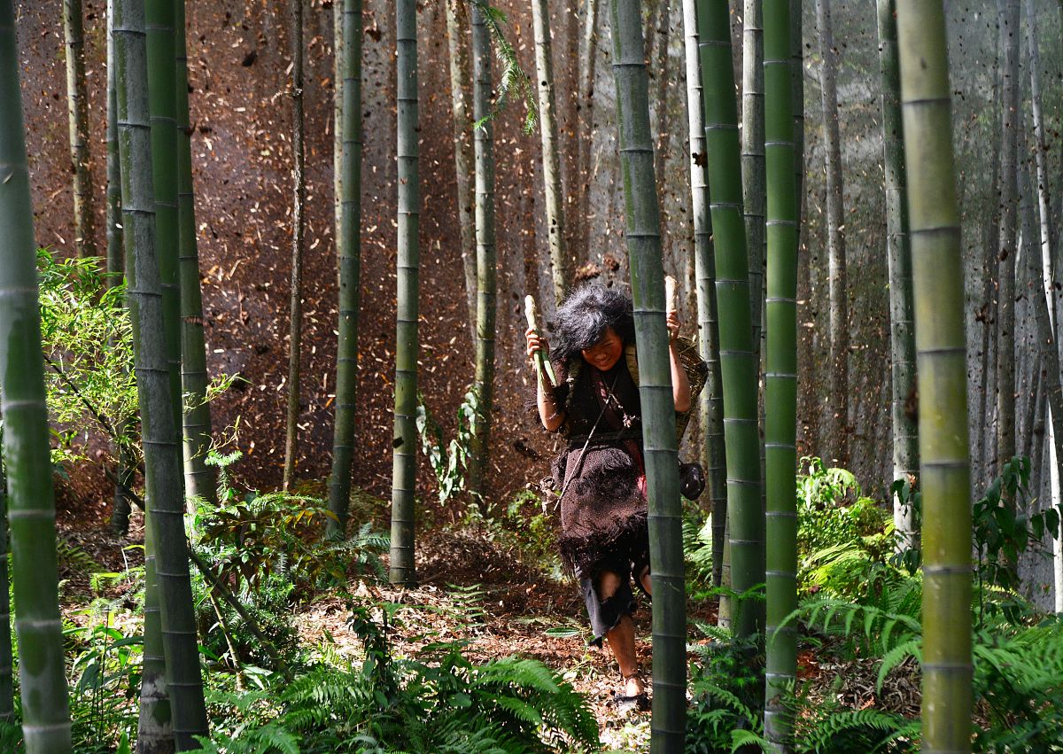 写一篇关于【xxxx】的文章故事剧本例如：写一篇猪八戒背媳妇的故事剧本