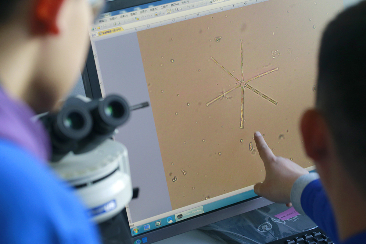 在侯氏制碱法中为什么混凝土里面的氯离子浓度高与混凝土外面的浓度