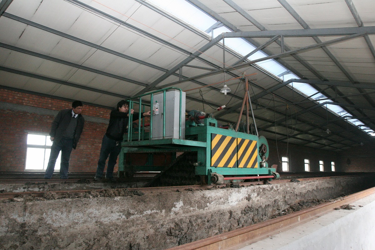 三黄鸡是激素喂大的吗？真相揭秘！