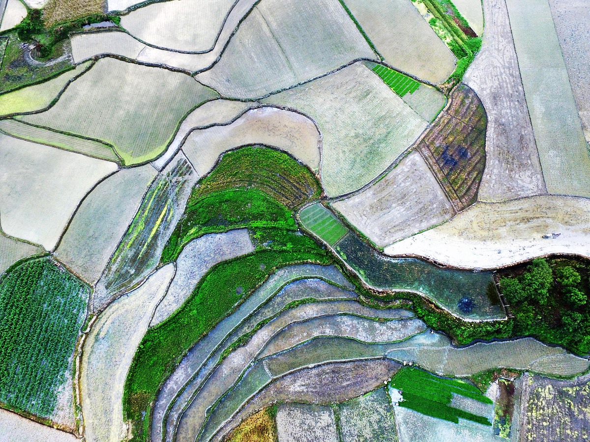 清代贵州移民对民族关系的影响