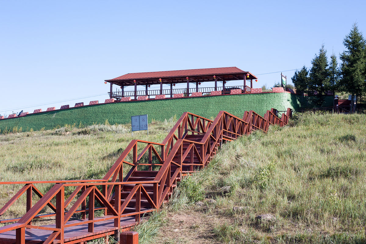 河北省张家口市尚义县民政局送养政策