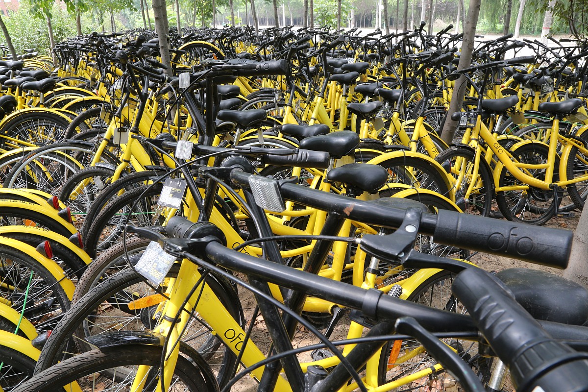 平顶山市工业学校专业招生招生人数要多少