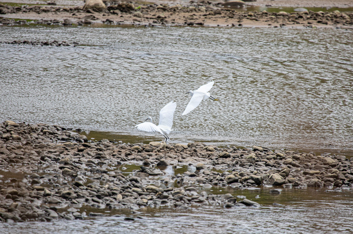 子洲县富发农业科技有限公司黄芪产品市场营销策略优化研究 - 致谢