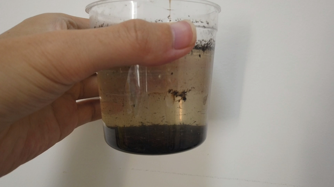 网购“魔法鱼”简易孵化鱼卵,这一次孵化太多,完全数不清多少条
