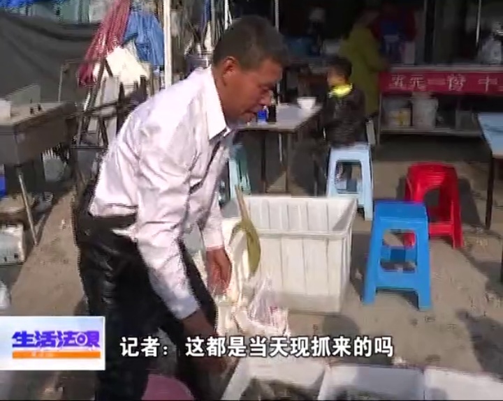 海边安家赶特色大集!还有意想不到的“大馅饼”砸中你