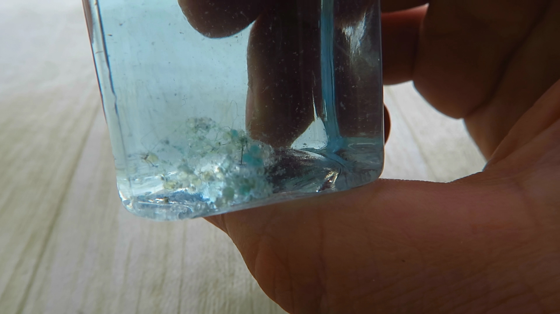 网购鱼卵养了二十天,终于看得出啥品种,卖家让我感觉自己赚大了