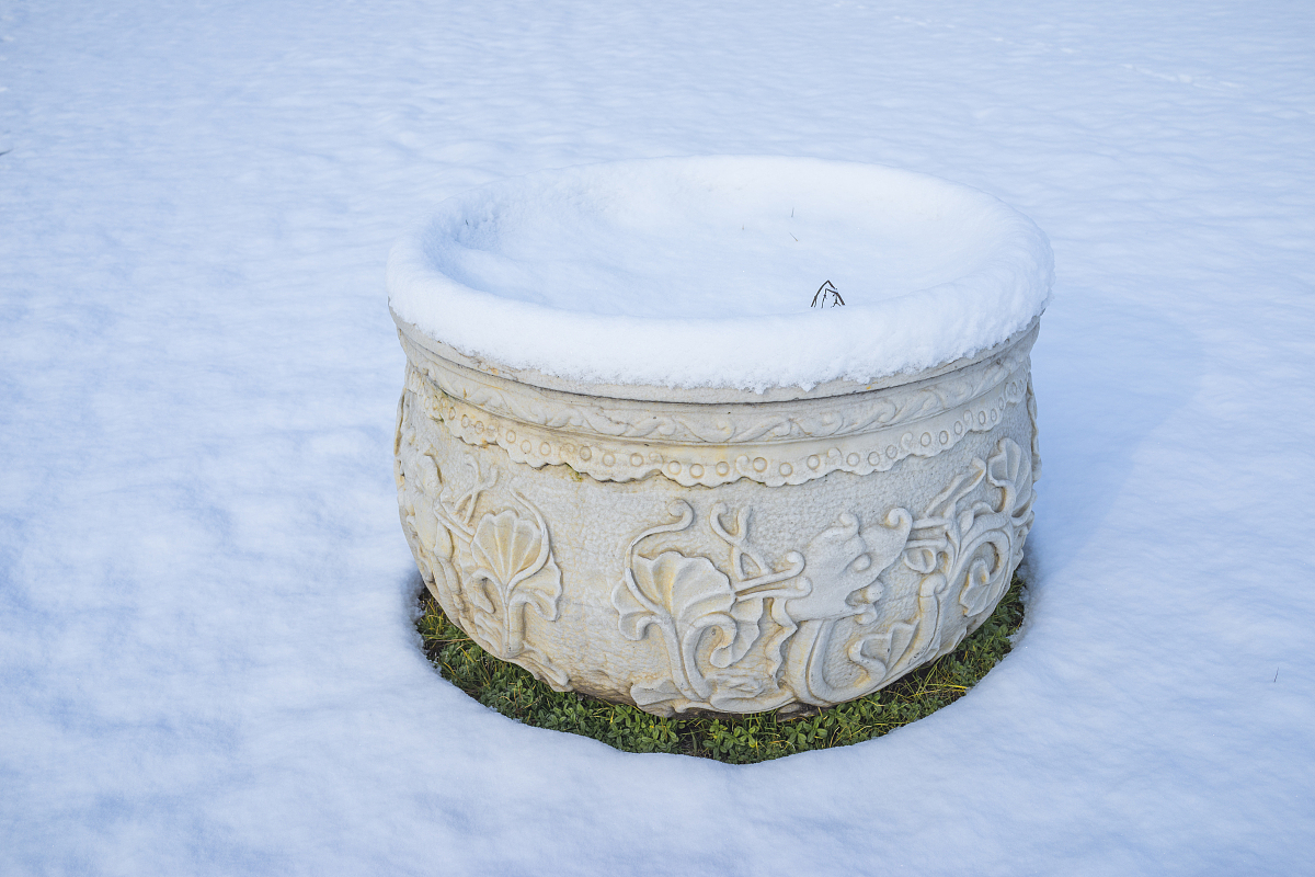 ***_***2017年2月1日,雪中石器.