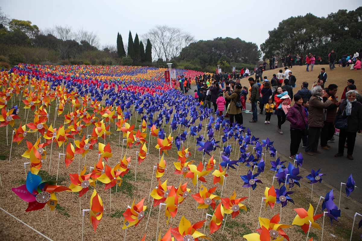 2015年3月15日,上海,为了配合郁金香花展,主办方在公园里一个小山坡上