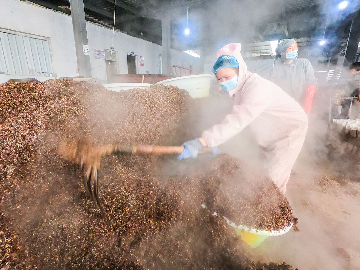 写一篇牡丹江镜心湖菌业公司关于食用菌全产业链项目的汇报材料