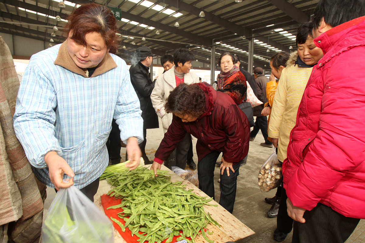 物流管理项目成功关键：范围、进度、成本、干系人与风险控制的协同关系