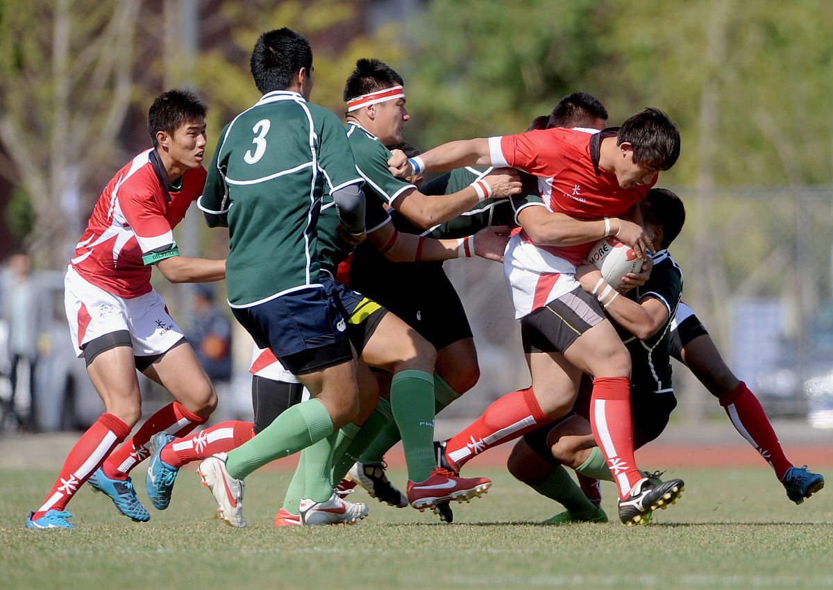 十警十制板报制作指南：内容、设计、素材推荐