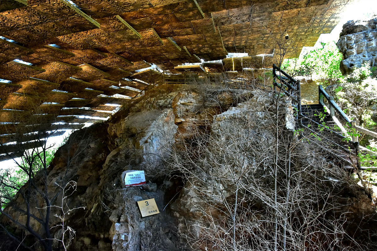 山西同文职业技术学院有哪些专业及什么专业好